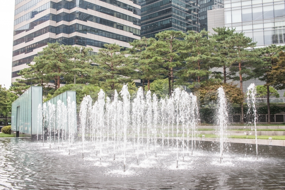 분수,여름,나무,서울,시원함,seoul,korea,fountain,여름,계절,summer,season,도시,풍경,city,landscape,water,물