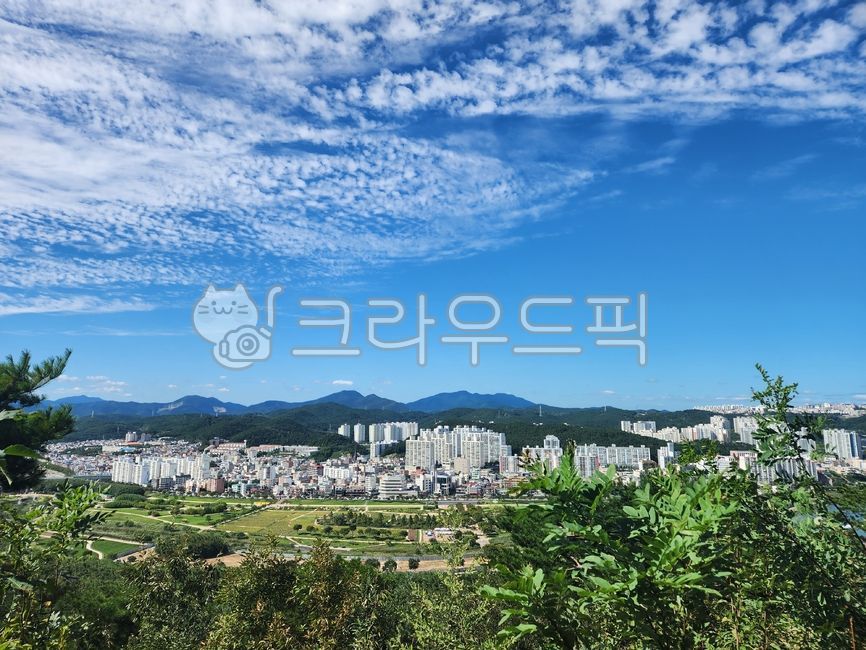 city,tree,cityscape,Ulsan,Observatory,building