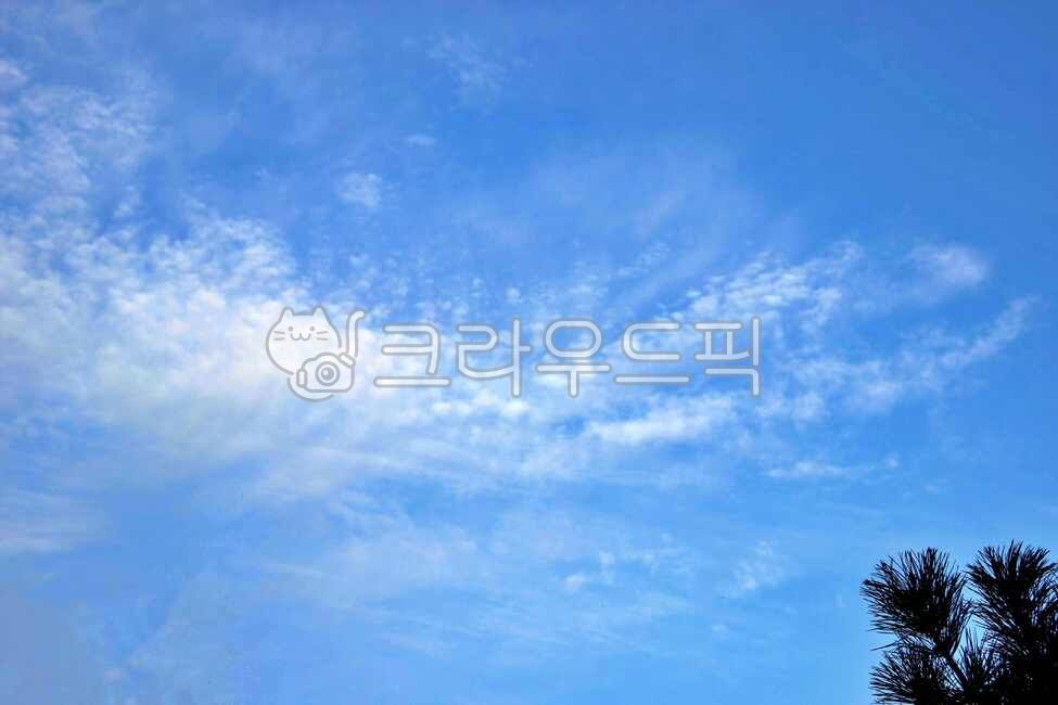 서울,성북구,개운산,개운산공원,옥외,자연,하늘,구름,outdoors,nature,sky,cloud