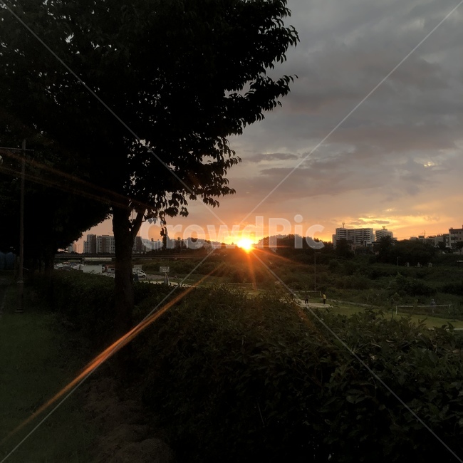 자연,빛,플레어,햇빛,light,flare