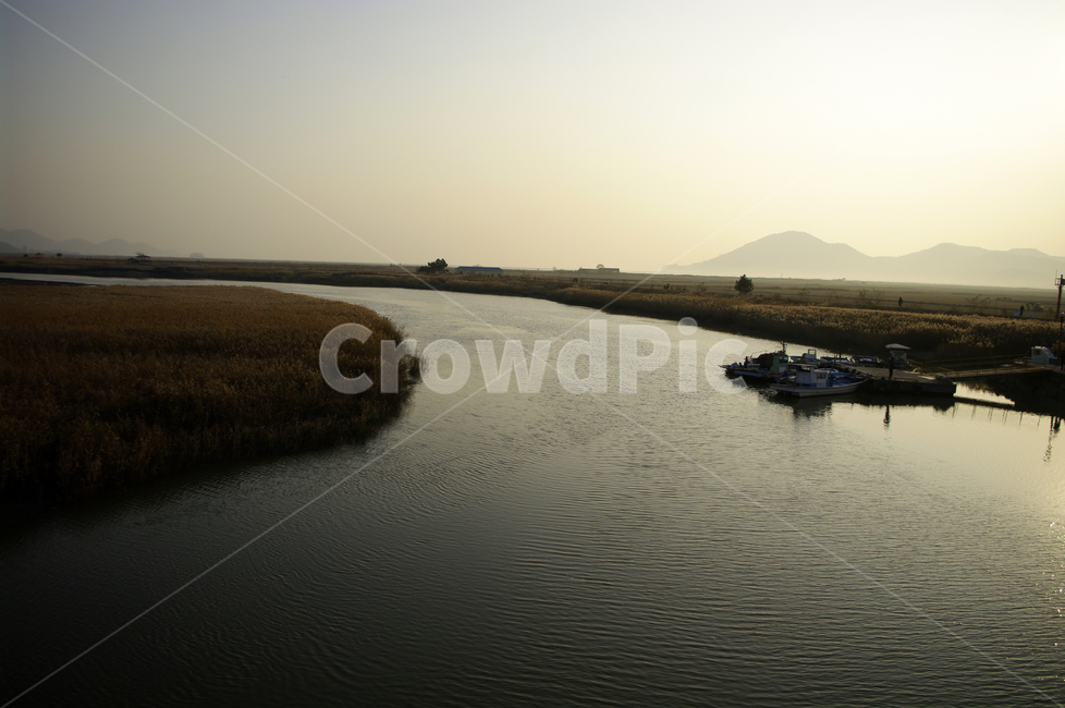 노을,풍경,강,하늘,갈대밭,자연,풍경,nature,landscape,water,물,outdoors,옥외