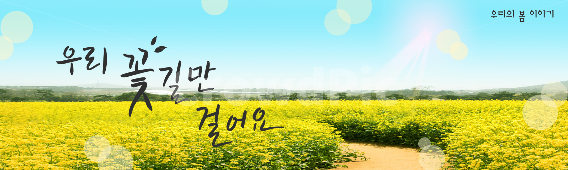 시즌,계절,봄,캘리그라피,캘리,손글씨,편집,배너,웹소스,소스,모바일,팝업,붓글씨,한글,꽃,배경,백그라운드,유채꽃,꽃길,햇빛,봄,계절,spring,season,캘리그라피,손글씨,calligraphy