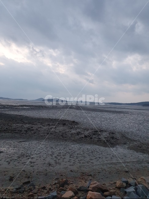nature,갯벌,water,sea,대양