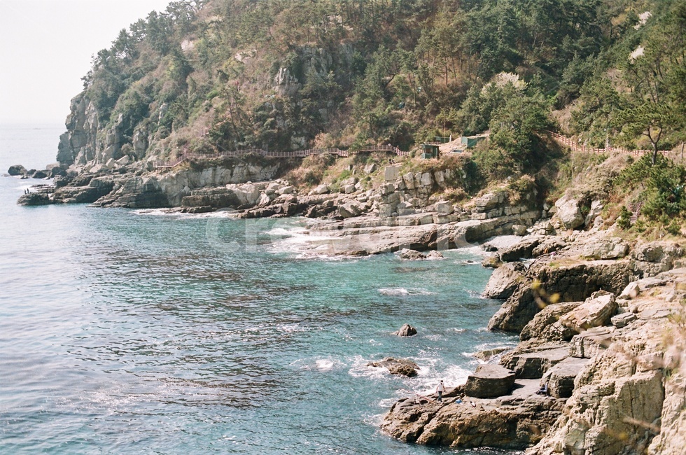 이기대,바다,갈맷길,해안산책로,부산,필름,필름사진,해변,해안로