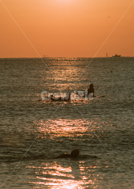 light,빛,flare,플레어,sunlight,광안대교,부산,서핑,서퍼,busan,일출,태양,햇빛,sunrise,sun,surfing,여행,휴가,traveling,vacation,trip,스포츠,레저,운동,sports,leisure,exercise