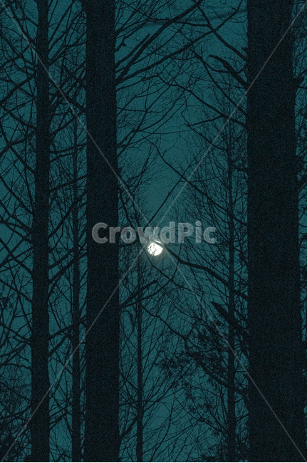 nature,자연,space,moon,달,우주,야경,밤,풍경,nightscape,night,landscape