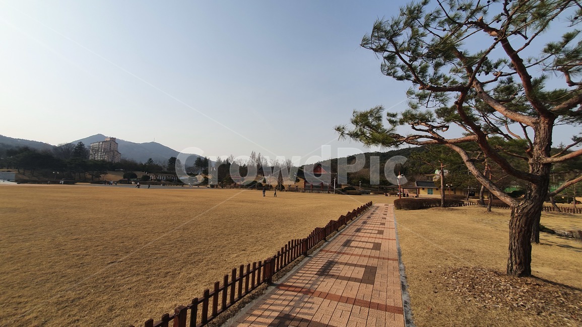 walkway,보도,path,flagstone,판석,공원,통로,나무