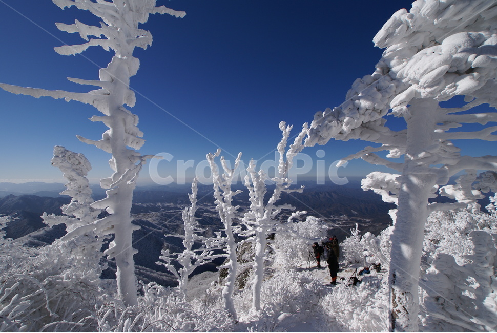 덕유산,설경,상고대,무주,풍경,눈,국립공원,겨울,계절,winter,season,자연,풍경,nature,landscape,한국자연풍경,한국자연경관,korea nature landscape,outdoors,옥외,ice,빙,human,인간,person,사람