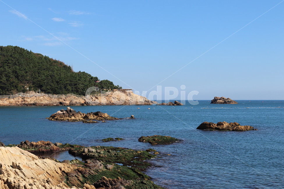 울산바다,울산,바다,바닷가,해안가,자연,풍경,nature,landscape