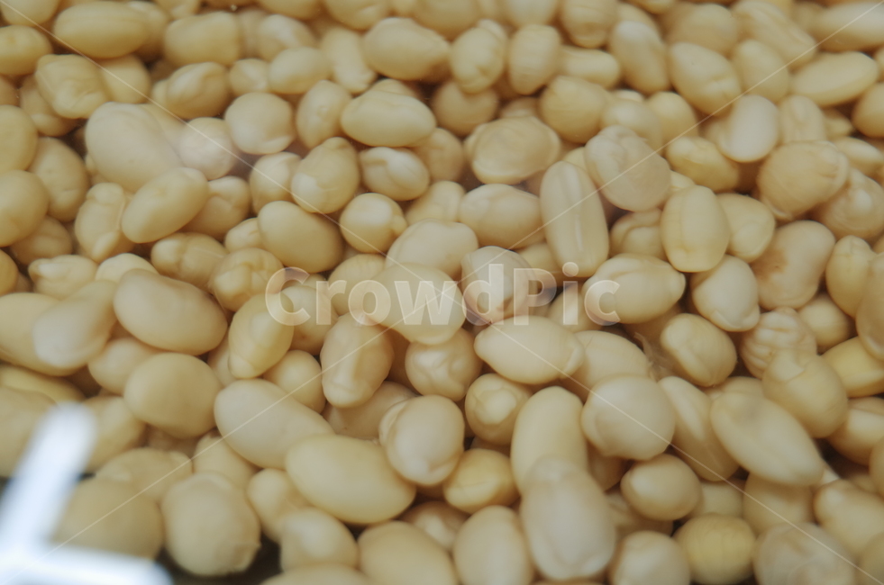 bean,콩,vegetable,food,음식,왕태콩,콩자루,불린콩