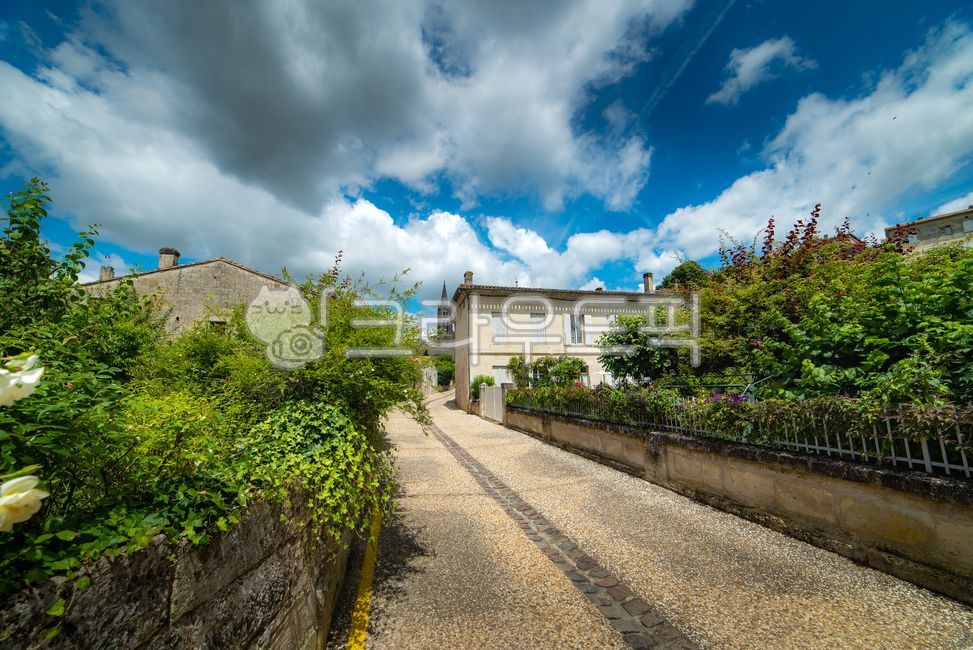 bordeaux,worldheritage,Bordeaux,villige,saintemilion,Saint Emilion,landscope,wine village,south of france,path,Town,road,sight,france,Emotion,europe,winevillage,sidewalk,nature,world cultural heritage,saintmilion,walkway,feeling