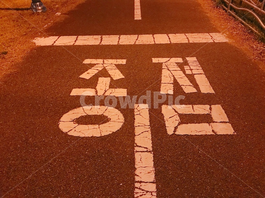 도로,길가,밤,야경,종점