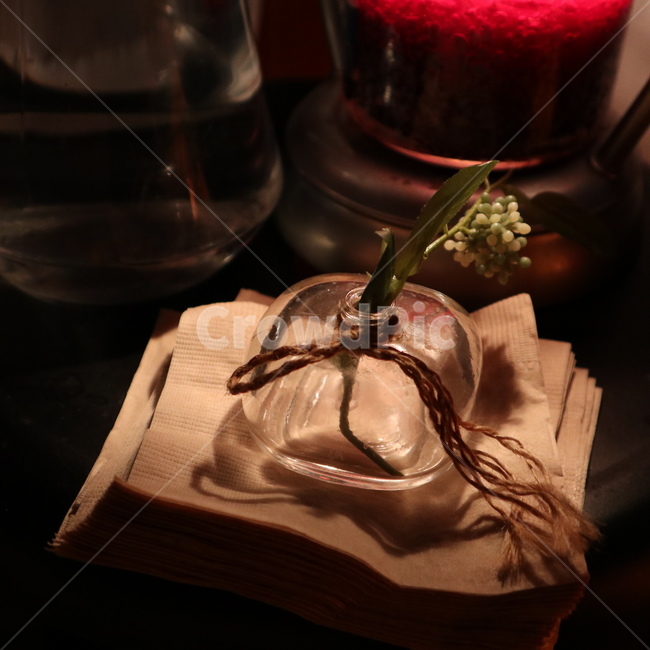 냅킨,겨울,꽃병,카페,감성,식물,자연,plants,nature,실내용화초,화분,화초,house plant