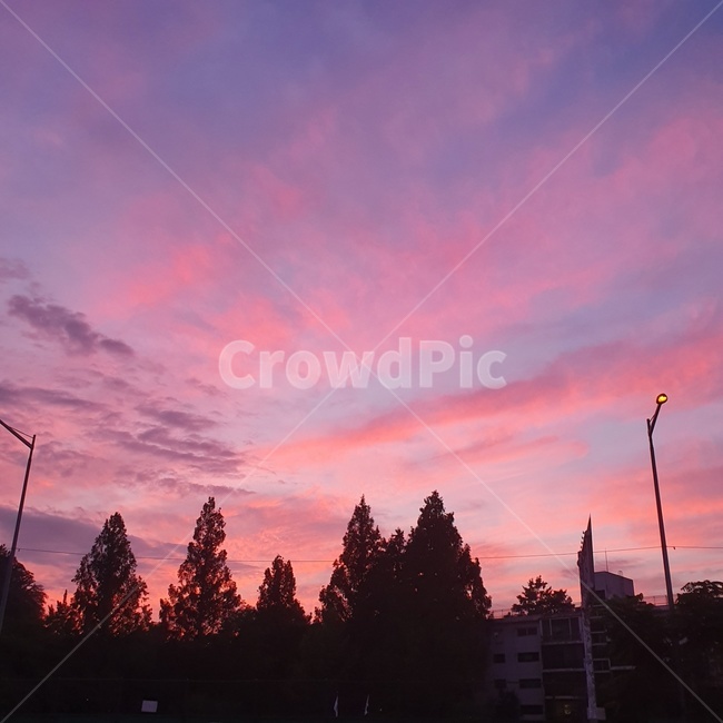 하늘,예쁜하늘,노을,sky,sunset,pink,나무,풍경,구름