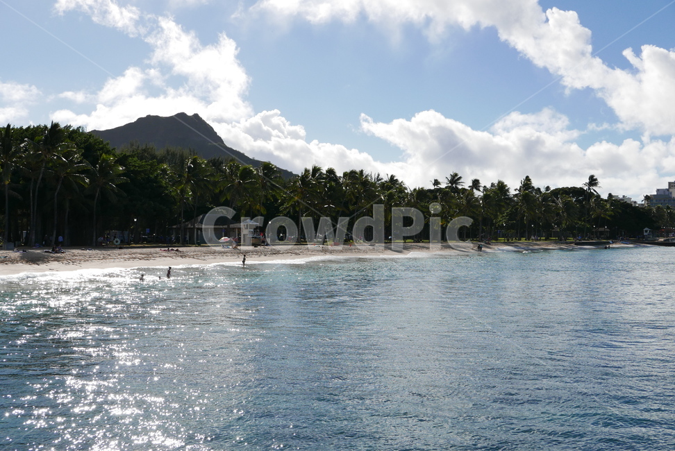 하와이,미국,와이키키,바다,여름,감성,summer,ocean,beach,sea,waikiki,hawaii,america,자연,배경,풍경,자연,풍경,nature,landscape,해외,외국,세계,foreign,oversea,world,세계자연풍경,해외자연풍경,외국자연풍경,world nature landscape,water,물,outdoors,옥외