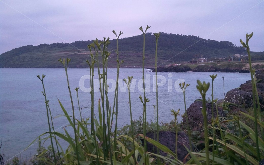 자연,nature,water,물,공원