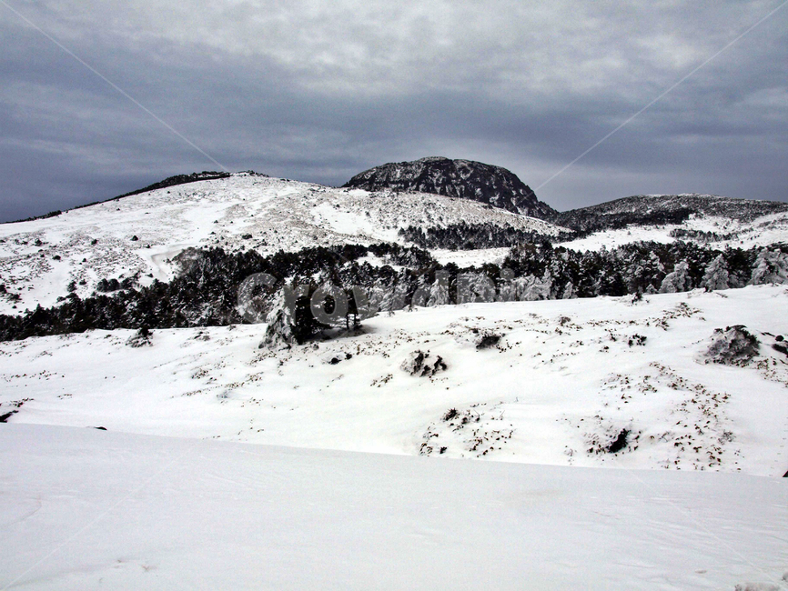 어리목,제주도,한라산,설경,겨울,설화,겨울산,눈,백록담,겨울,계절,winter,season,자연,풍경,nature,landscape,mountain,산,outdoors,옥외,snow