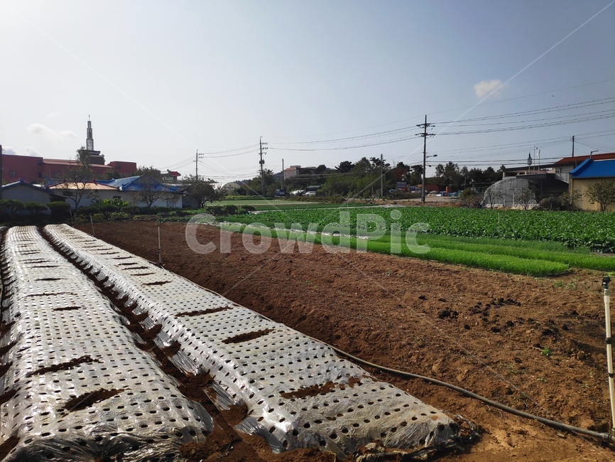 농촌,논,밭,시골,시골풍경,시골,마을,풍경,landscape,country,rural,town