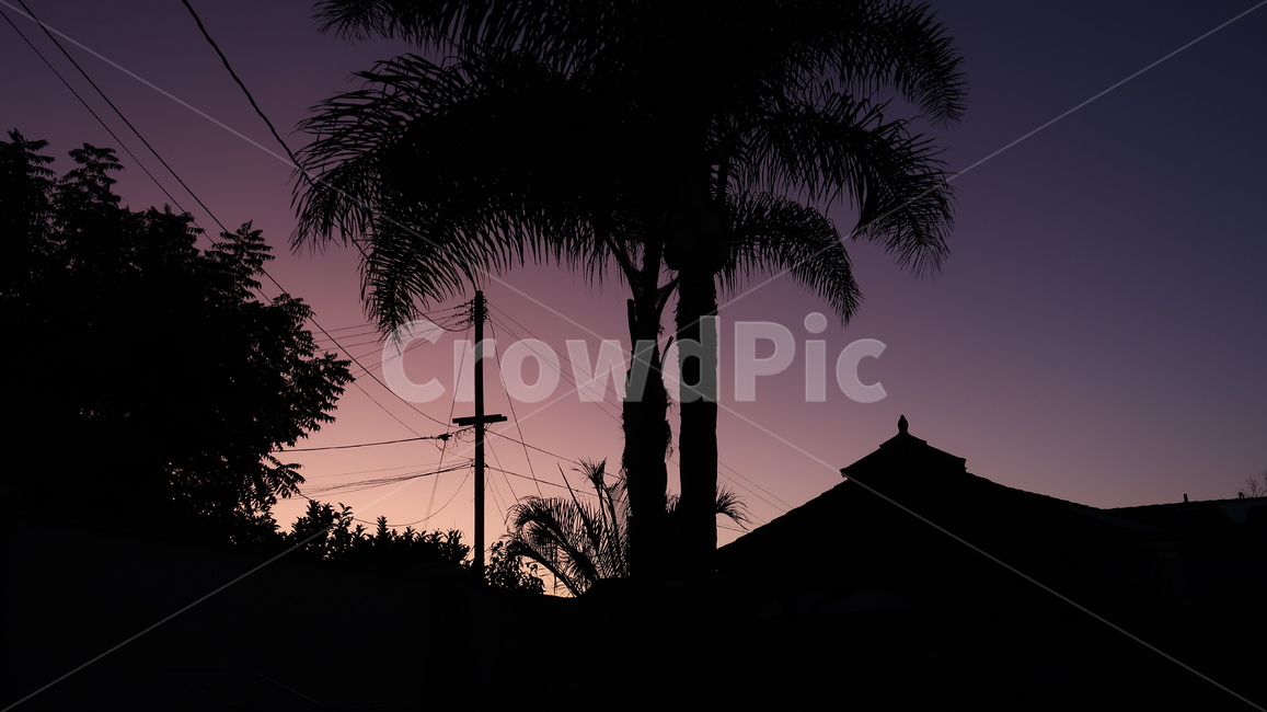 sunset,실루엣,silhouette,달빛,석양,실루엣,그림자,silhouette,shadow