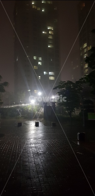 비,풍경,밤,운치,거리,야경,밤,풍경,nightscape,night,landscape,도시,city,한국도시풍경,한국도시경관,korea cityscape,비,비오는날,rain,rainy,flare,플레어,light,빛,path,통로,walkway,보도
