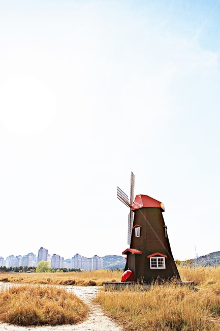 풍차,갈대,식물,자연,생태공원,풍경,배경,가을,계절,fall,autumn,season,자연,풍경,nature,landscape,building,건물