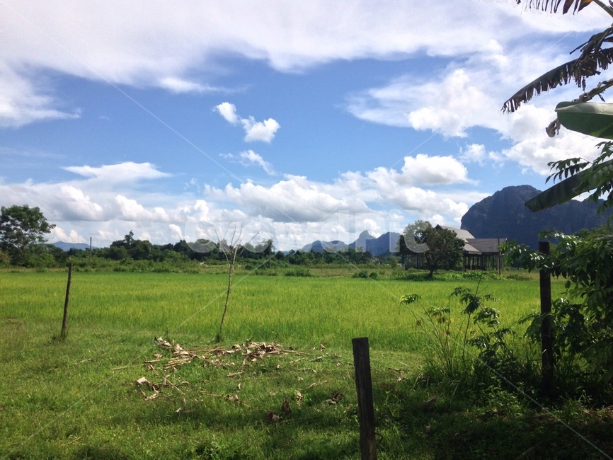 nature,자연,outdoors,옥외,grassland,목초지,구름,자연,풍경,nature,landscape
