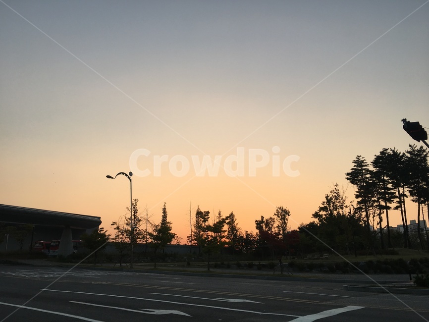 노을,풍경,밤,붉은,나무,그림자,자연,풍경,nature,landscape,asphalt,아스팔트,road,도로