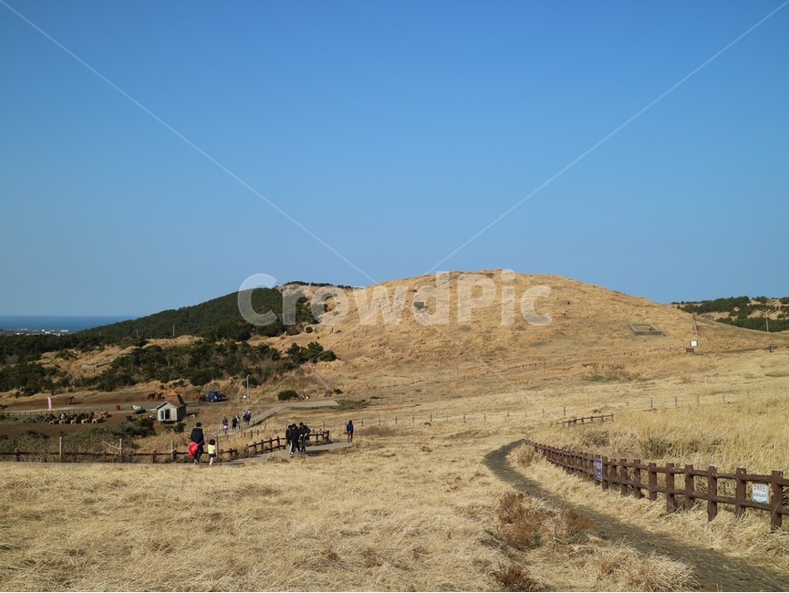 제주,제주도,바람의언덕,섭지코지,푸룬하늘,파란하늘,돌담,섬,하늘,가을하늘,가을제주,제주하늘,배경화면,제주배경화면,fall,자연,nature,hill,outdoors,언덕,옥외,잔디,들판,자연,풍경,nature,landscape
