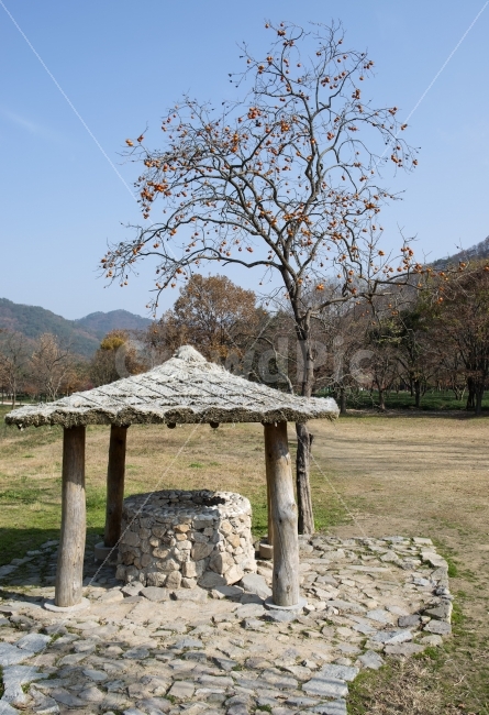 감나무,우물,감,초가지붕,나무,열매,과일,빨강,주홍,계절,자연,풍경,세로사진,파란하늘,파란,하늘,시즌,가을,단풍,낙엽,조용한,추억,초가,지붕,시골,결실,생활,가을,계절,fall,autumn,season