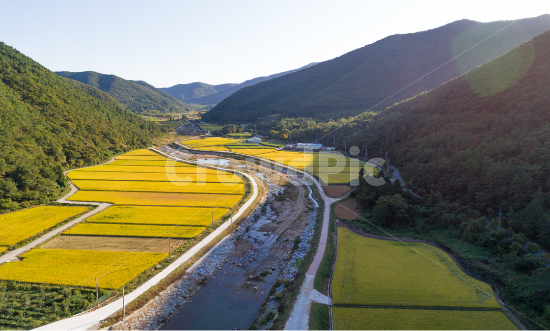 논,가을,시골,다랭이논,풍경,경치,산맥,자연,풍경,nature,landscape,한국자연풍경,한국자연경관,korea nature landscape,시골,마을,country,rural,town,outdoors,옥외,field,들