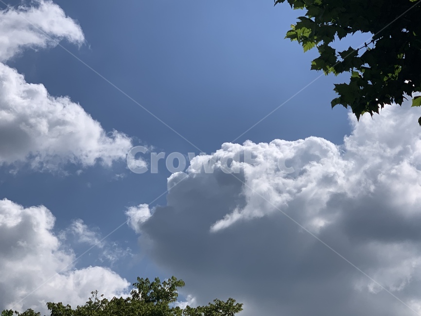자연,날씨,하늘,weather,cloud,푸른하늘,자연,풍경,nature,landscape,outdoors,옥외,구름,sky,cumulus,적운,azure sky,푸른 하늘