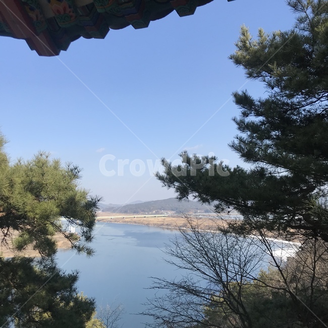 나무,조용한,풍경,바다,절,사원,깨끗한,여유로운,맑은,자연,풍경,nature,landscape,outdoors,옥외,tree,plant,식물