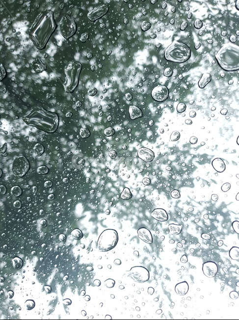 물방울,비오는날,비,빗물,빗속,자연,풍경,비,비오는날,rain,rainy