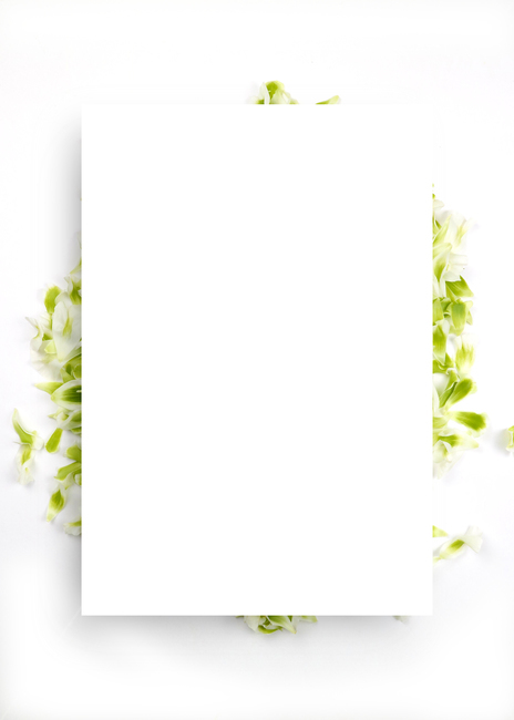 꽃,프레임,백그라운드,배경이미지,봄,계절,꽃잎,꽃다발,보태니컬,보태니컬프레임,내츄럴