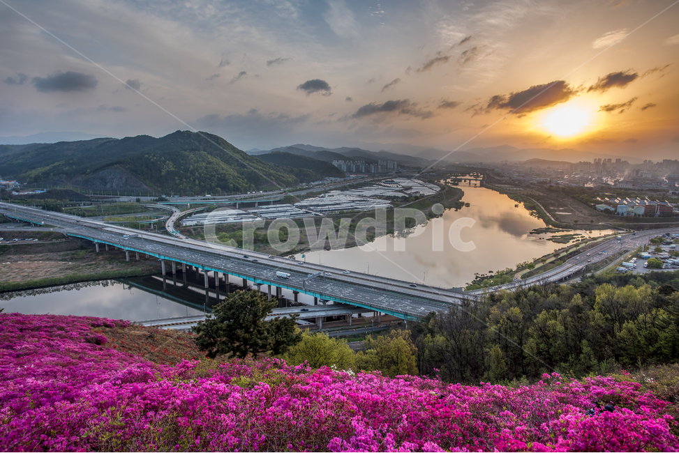 댜구,서대구ic,영산홍,금호강,일출,봄,풍경,봄,계절,spring,season,자연,풍경,nature,landscape,한국자연풍경,한국자연경관,korea nature landscape,교통,교통수단,traffic,transportation,scenery,outdoors,옥외