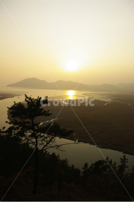 순천만,일몰,석양,노을,풍경,강,산,자연,풍경,nature,landscape,flare,플레어,light,빛,sunlight,햇빛