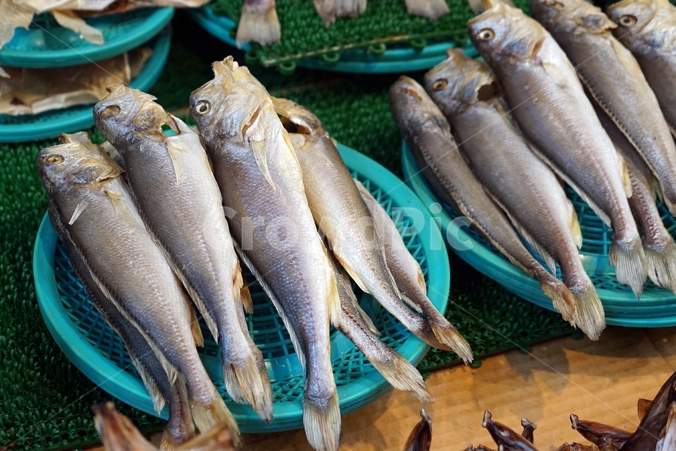 생선,요리,재료,반건조,바다,비린내,해산물,먹거리,fish,food,seafood,물고기,시장,음식,해물,수산물,생물,씨푸드,수산시장,해산물시장,한국장보기,쇼핑마켓,낚시,어업,식재료,신선한,신선,신선함,소금,건강,건강한,날것,자연,더미,무더기,죽은,맛있는,mackerel,market,fishing,fresh,시장,마트,마켓,market,mart,market place,음식,식재료,요리,food,cook,meal,dishes,food reserves,수산물,해산물,fishery products,seafood