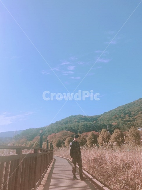 군인,감성,군복,여행,갈대,풍경
