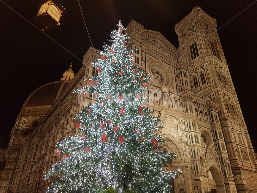 이탈리아성당,크리스마스트리,두오모성당,피렌체대성당,크리스마스,cathedral,성당,duomodifirenze,피렌체성당,피렌체,두오모