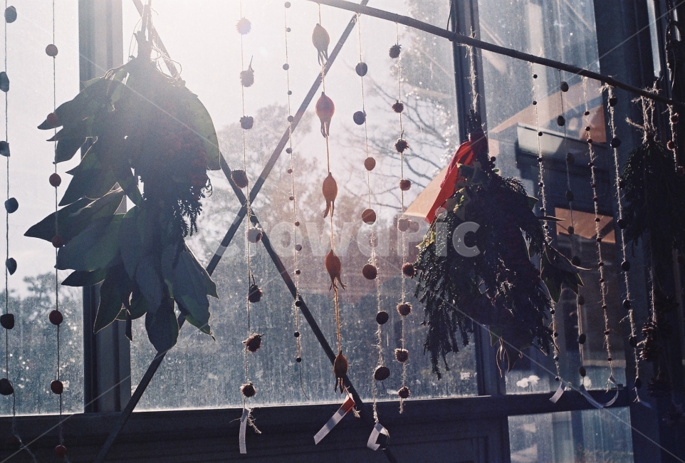 장식,문발,치자,드라이플라워,문장식,겨울,필름사진,감성,sensible,feeling,휴식,힐링,rest,relaxation,healing,인테리어,실내디자인,interior design