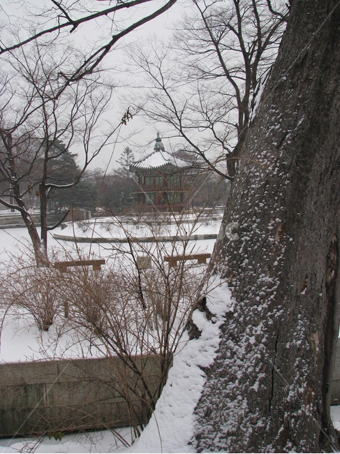 궁궐,경복궁,향원정,겨울,눈,호수,한국,대한민국,겨울,계절,winter,season,한국전통,한국문화,korean traditional,korean culture