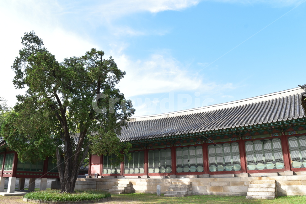 창덕궁,하늘,궁,궁궐,전통건물,세계문화유산,구름,맑은하늘,푸른,한국전통,한국문화,korean traditional,korean culture