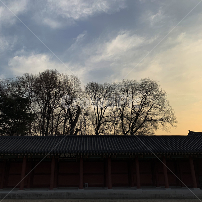 창경궁,궁궐,한국,전통,기와,하늘,노을,지붕,고궁,기와집,한옥,가을,처마,조선,역사,코리아,나무,해질녘,서울,충경,seoul,korea,tree