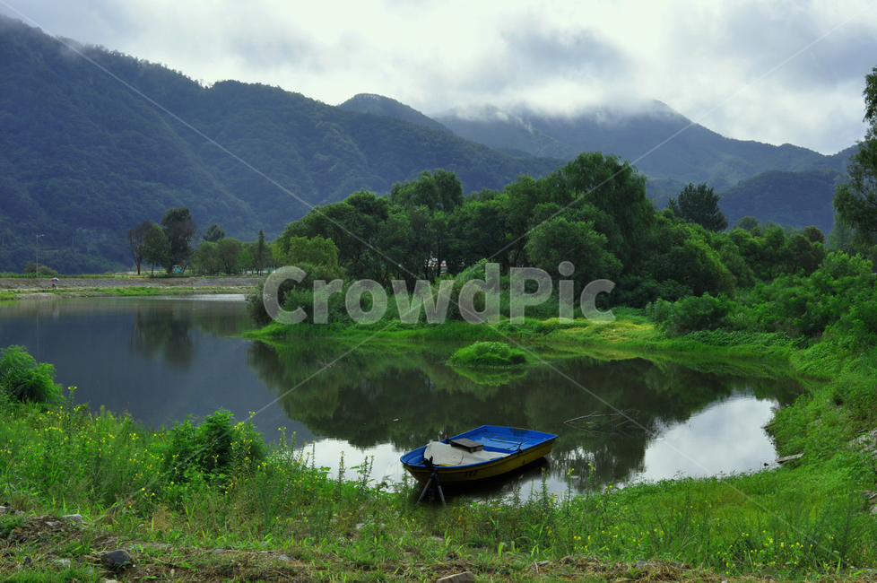 자연,녹음,여름,풍경,여름풍경,강가,호수,여름,계절,summer,season,자연,풍경,nature,landscape