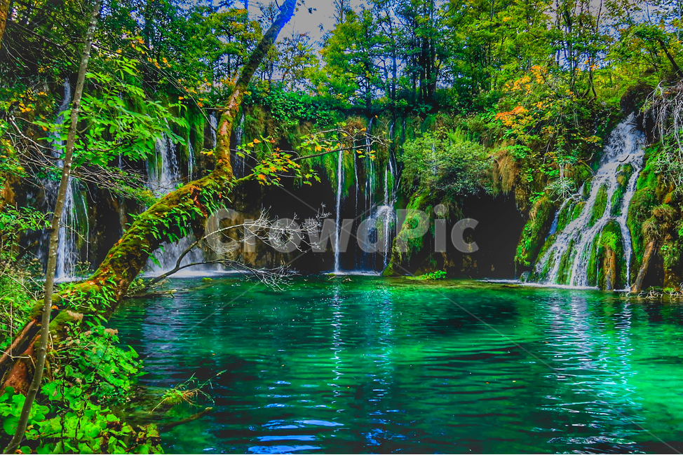 green,초록,water,물,nature,자연,요정,플리트비체,크로아티아,일출,해외,외국,세계,자연풍경,풍경,자연,풍경,nature,landscape,세계자연풍경,해외자연풍경,외국자연풍경,world nature landscape