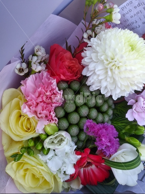 꽃,flowerarrangement,blossom,식물,flower,졸업식,꽃다발,축하,입학식,행사,event,예쁜,화려한,색상,colorful,red,붉은색,초록색,노랑,yellow,green