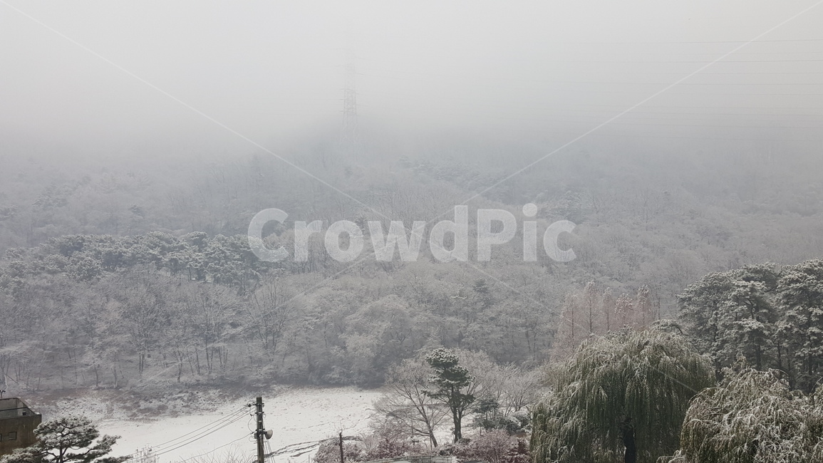 겨울,눈,계절,풍경,운치,자연,nature,weather
