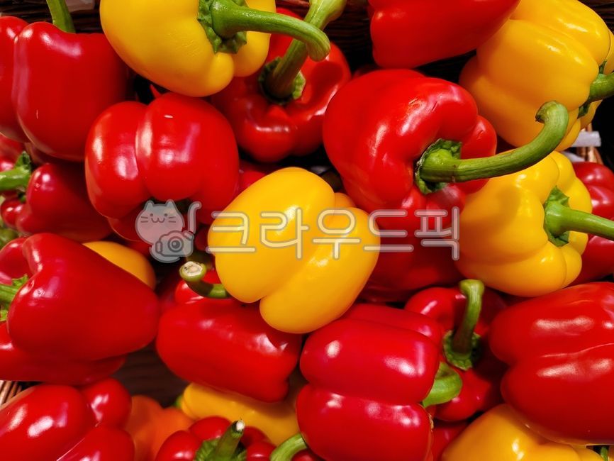파프리카,채소,식재료,vegetable,paprika,피망,bellpepper