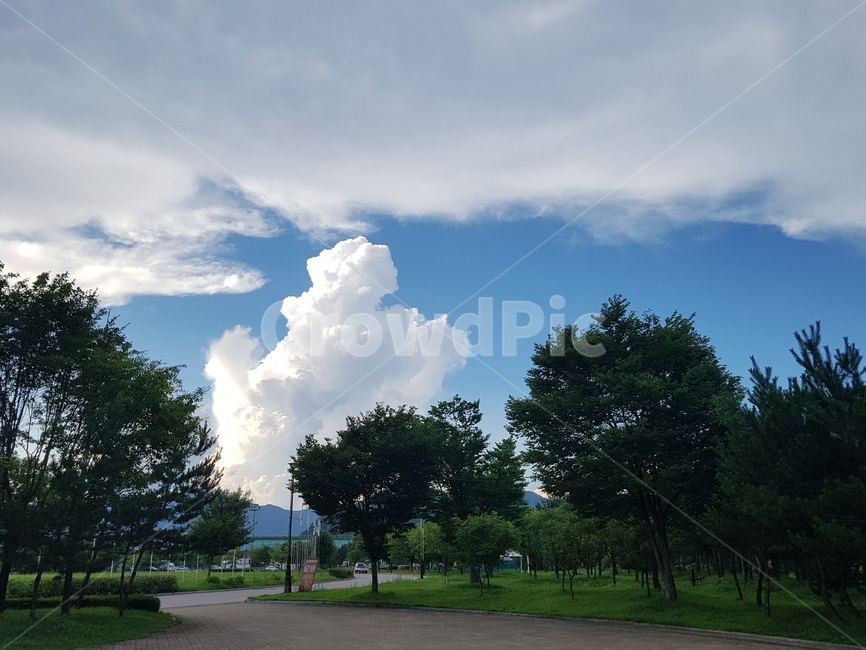 하늘,구름,뭉개구름,나무,자연,sky,휴식
