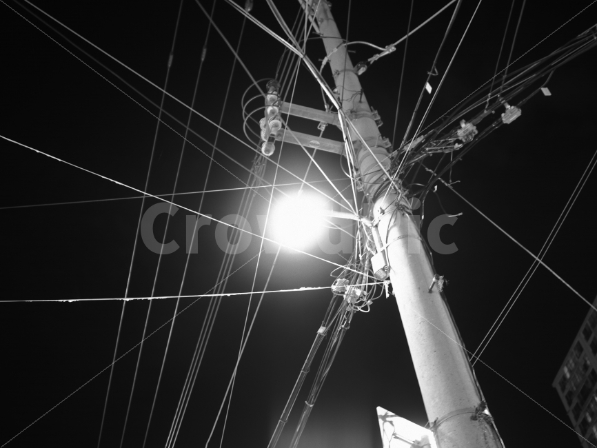 전깃줄,가로등,전봇대,흑백사진,흑백,흑백,모노톤,monochrome,black and white,산업,industry,industrial,에너지산업,energy industry